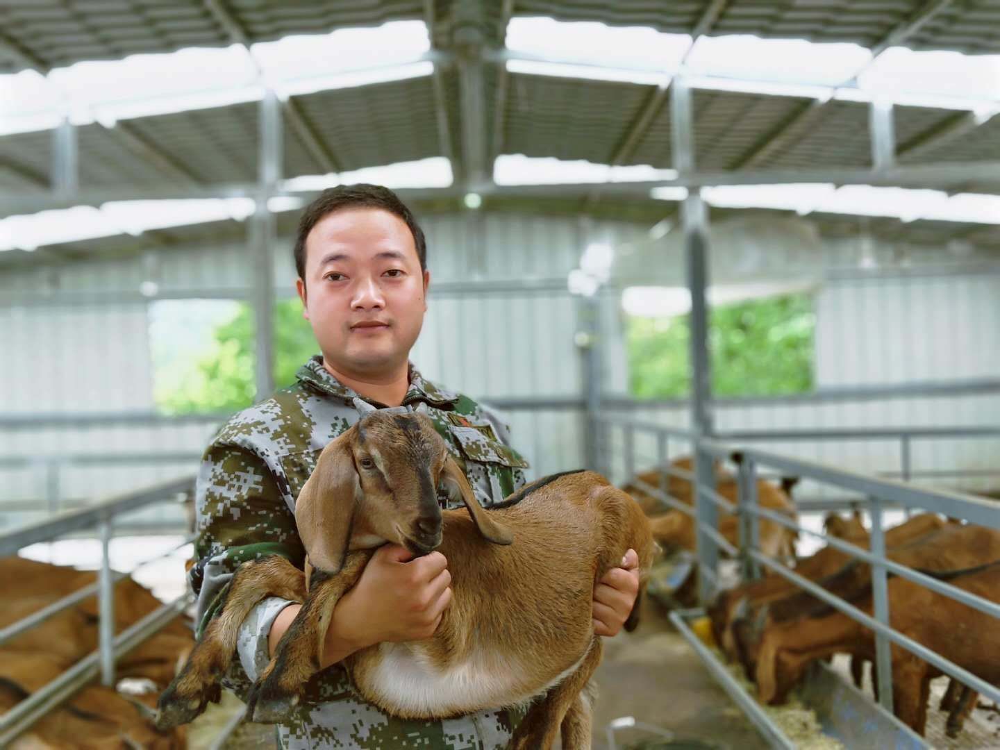 念羊經、發羊財 小畜牧成就大產業